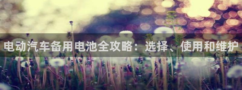 优发国际官网手机版下载苹果：电动汽车备用电池全攻略：选择、使用和维护
