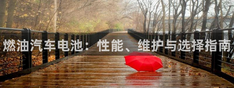 优发国际手机版客户端：燃油汽车电池：性能、维护与选择指南