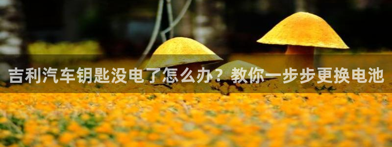 优发国际bob：吉利汽车钥匙没电了怎么办？教你一步步更换电池