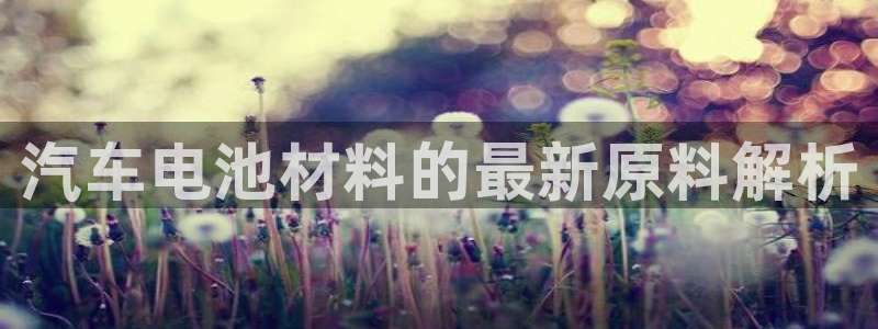 优发国际官网手机版：汽车电池材料的最新原料解析