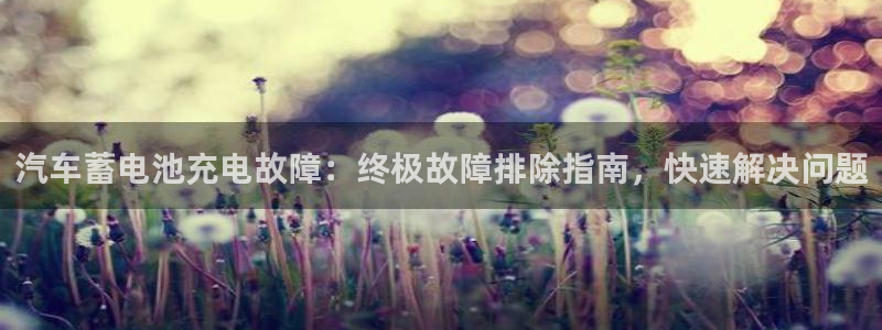 优发国际手机登录下载安装官网：汽车蓄电池充电故障：终极故障排除指南，快速解决问题