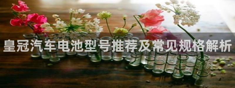 优发国际vip网址：皇冠汽车电池型号推荐及常见规格解析