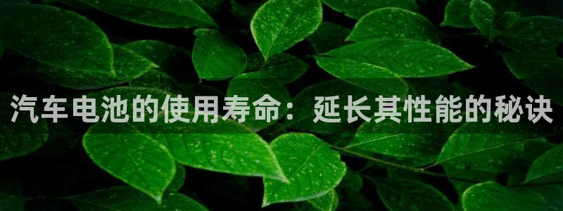 优发国际官方网手机版入口：汽车电池的使用寿命：延长其性能的秘诀