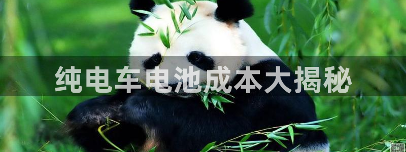 优发国际平台u8是什么软件：纯电车电池成本大揭秘
