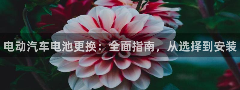 优发国际集团股份有限公司：电动汽车电池更换：全面指南，从选择到安装