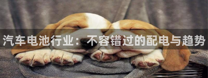 优发国际app登录不了：汽车电池行业：不容错过的配电与趋势
