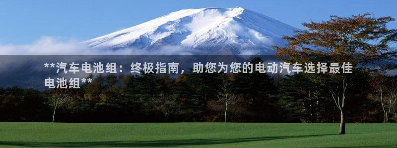 优发国际手机登录下载安装官网：**汽车电池组：终极指南，助您为您的电动汽车选择最佳
电池组**