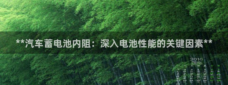 优发国际手机版客户端下载安装：**汽车蓄电池内阻：深入电池性能的关键因素**