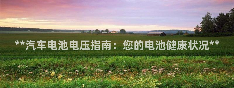 优发国际软件下载官网：**汽车电池电压指南：您的电池健康状况**