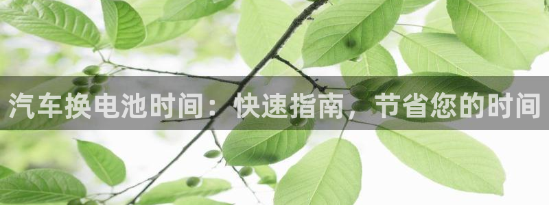 优发国际平台u8怎么样可靠吗：汽车换电池时间：快速指南，节省您的时间