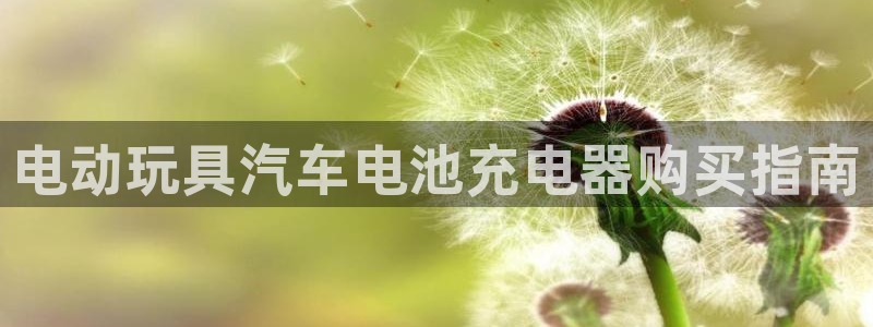 优发国际官网手机版下载苹果：电动玩具汽车电池充电器购买指南